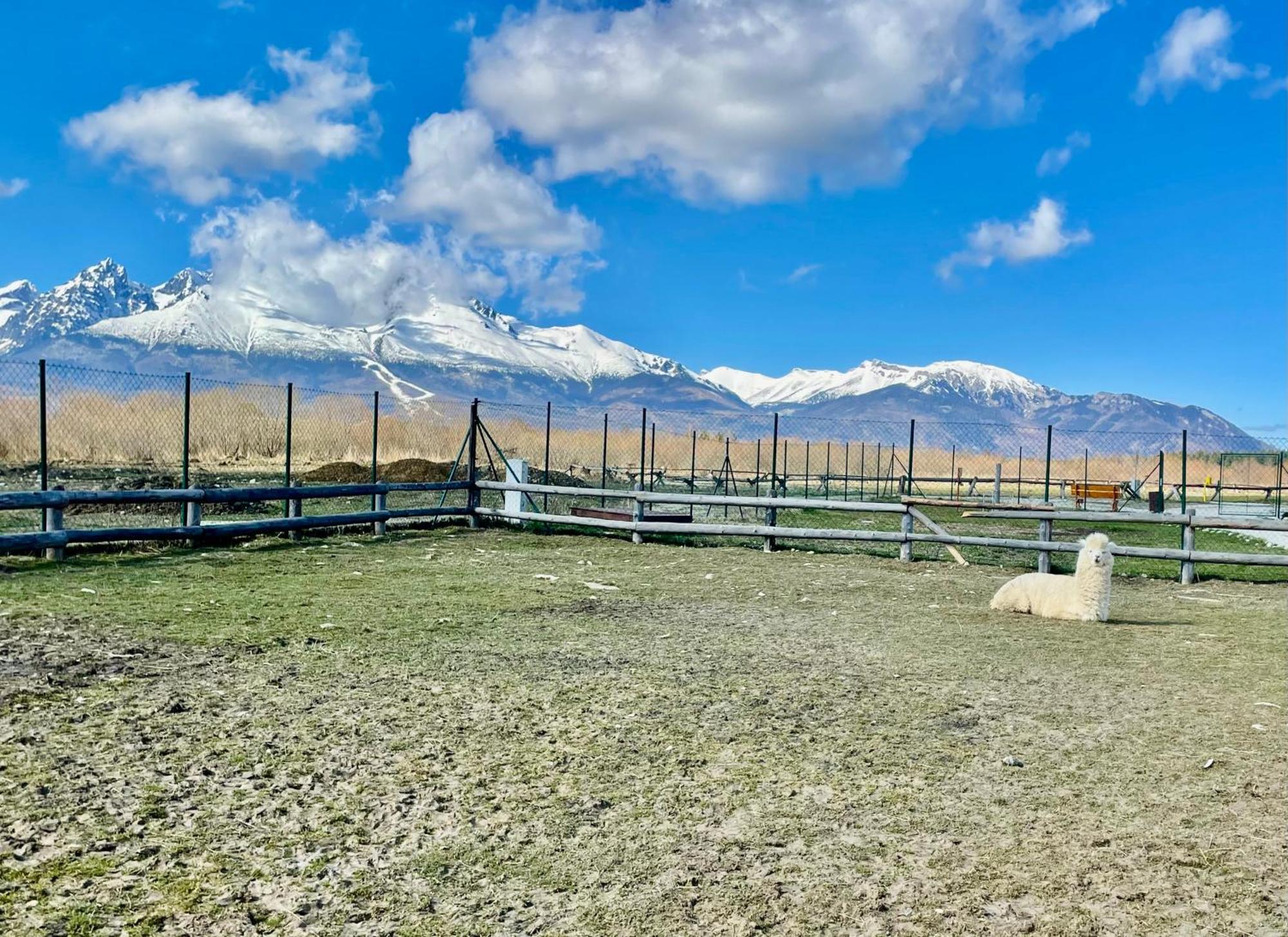 Apartment Jenny- Stunning View Of High Tatras เวลคา ลอมนิตซา ภายนอก รูปภาพ